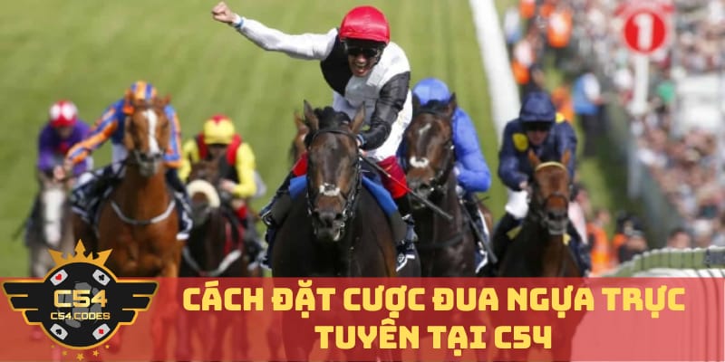 chien-thuat-chien-thang-cach-dat-cuoc-dua-ngua-tai-c54