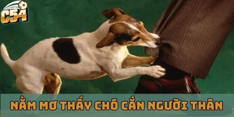 nam-mo-thay-cho-can-nguoi-than