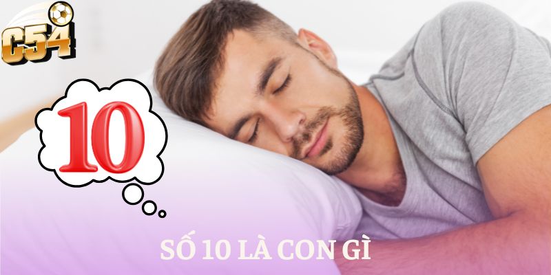 số 10 là con gì