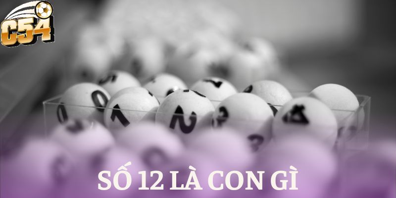 số 12 là con gì